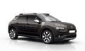 C4 CACTUS