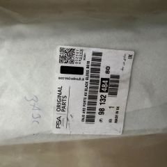 Citroen C3 Ön Kapı Direk Bandı Orjinal Gm Marka 9813248480